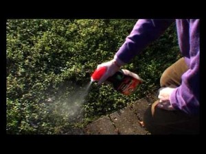 O que evitar cerca de herbicidas