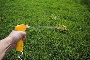 About Chemical weed killers