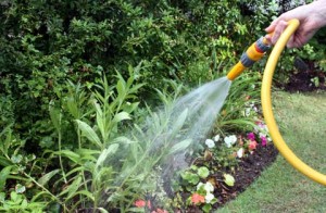 Como aplicar um herbicida pré-emergente