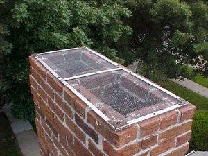About chimney protective screens