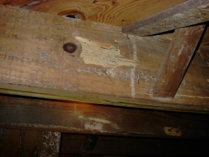 Über termite schaden repariert