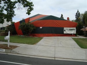 Safety issues of termite tenting