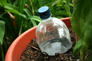 Drip irrigation - Bottle system