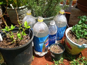 Veker for plante vanning