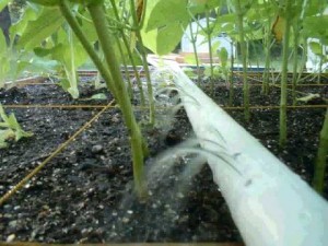 Homemade irrigation system