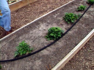 Bevattningssystem för små trädgårdar