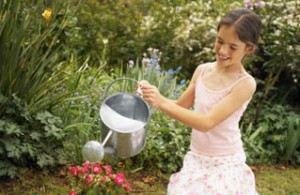 Plant watering temperature