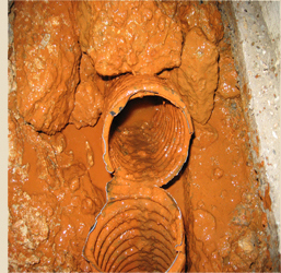 Preventing iron bacteria in drainage systems