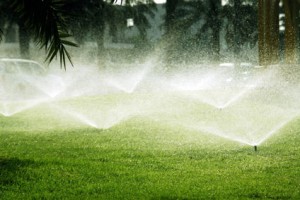 Timed irrigation system advantages