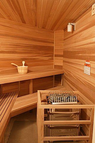 Indoor sauna vs. outdoors sauna