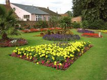 Ideas for garden flower beds